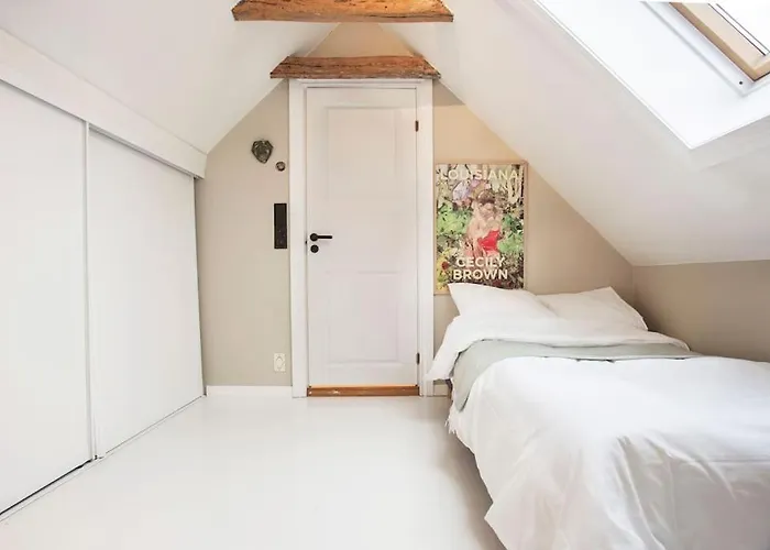 Apartmán New! Modern Floor In Historic Area!